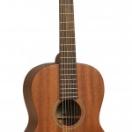 Tanglewood TW133ASM